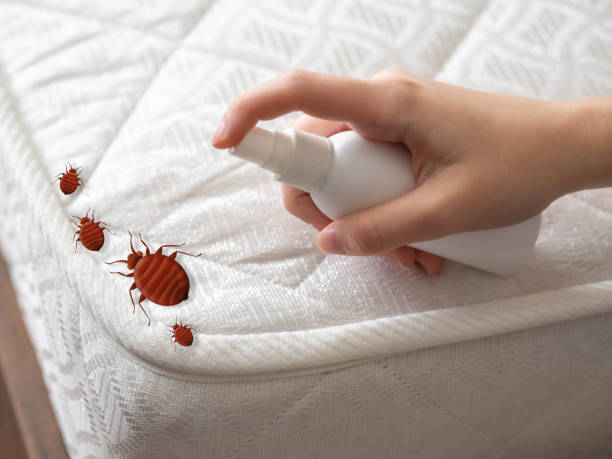 Best Cockroach Control  in Fowlerville, MI